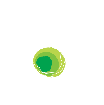 Leader Institute